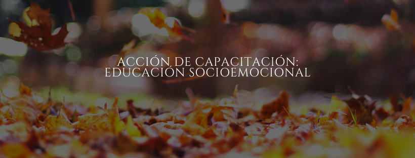Acción de Capacitación: Educación SocioEmocional
